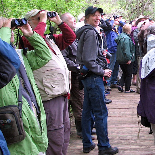 Bob on Magee Marsh Boardwalk