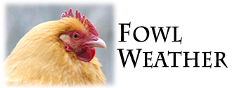 Fowl Weather Logo
