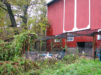 Barn pens