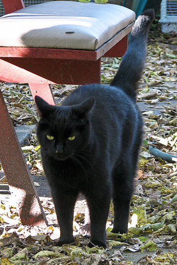 Agnes standing outside